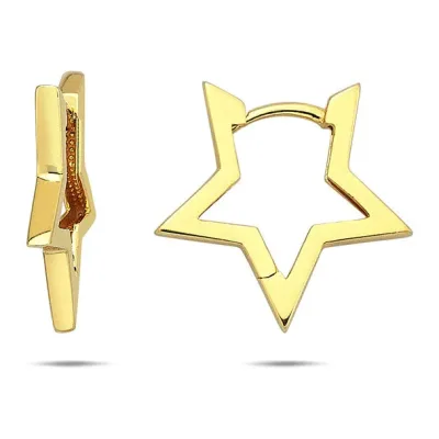 14 Ayar Yıldız Model Altın Küpe